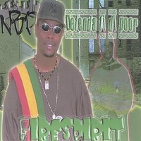 Audio Cd - Fire Spirit - Defenda Fi Di Poor - Cd Baby -D- Neu