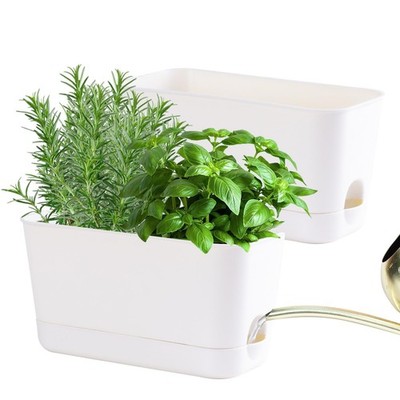 Oliz 2Pack 10inch Rectangular SelfWatering Planters with Drain & Tray