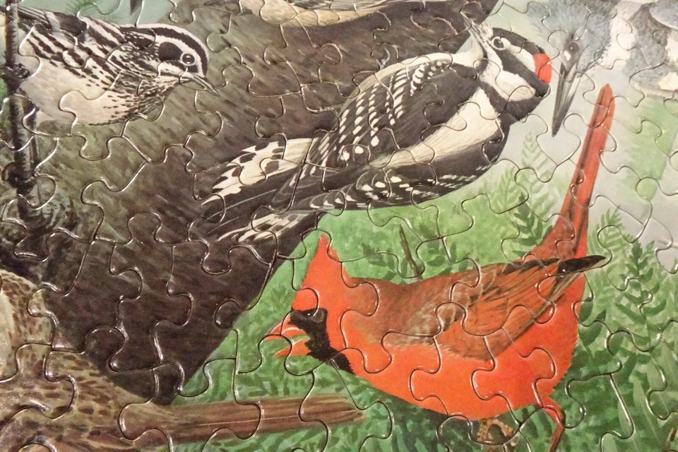 Vtg 1972 Springbok Circular Puzzle Familiar Birds by WM Dilger PZL6039 Complete! - Image 3 of 4