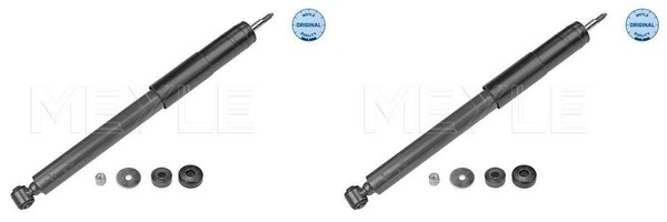 Meyle StoßDäMpfer Hinten FüR Mercedes Coupe C124 E-KLASSE W124 A124 C124-image