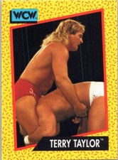 1991 Impel WCW #72 Terry Taylor