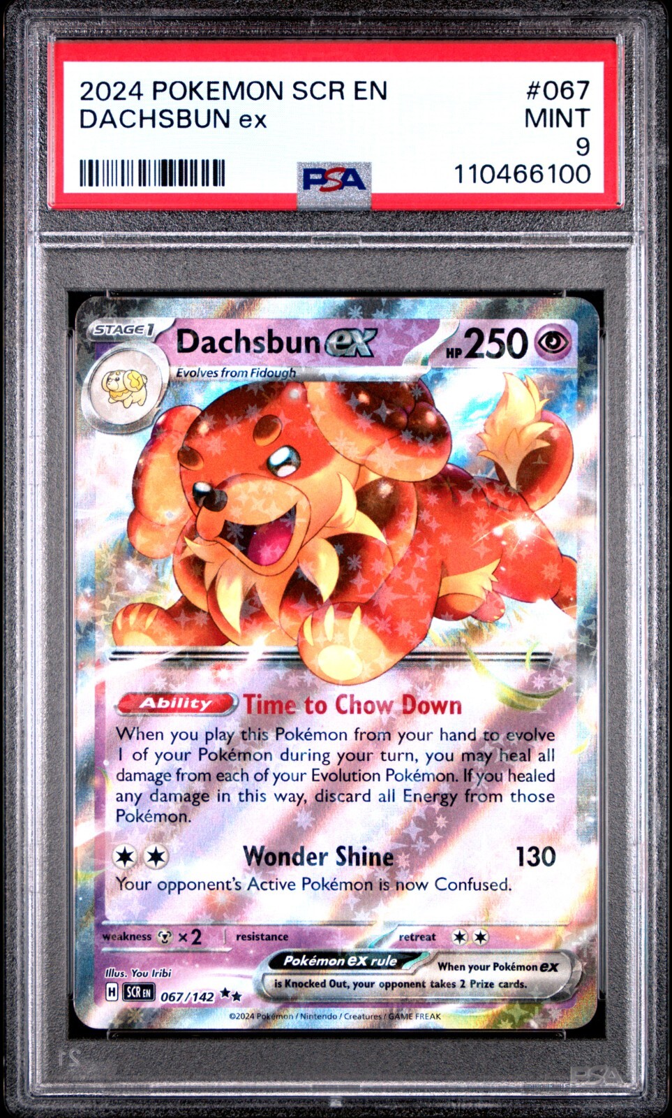 Pokemon Dachsbun ex - 2024 Stellar Crown 67/142 - PSA 9