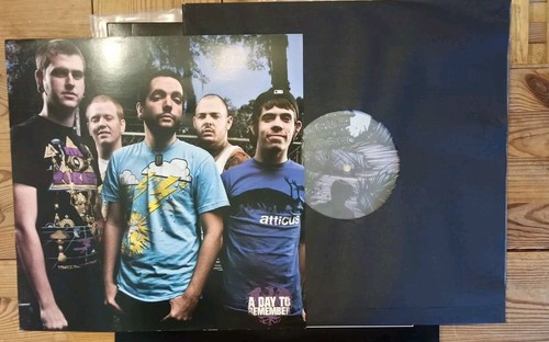 A Day to Remember Homesick Picture Vinyl LP Limitiert 3000 Stück METALCORE *Rar* - Bild 4 von 5