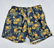 Trunks Surf  Swim Co. Men's 6" Swim Shorts Medium Blue Pineapple Print