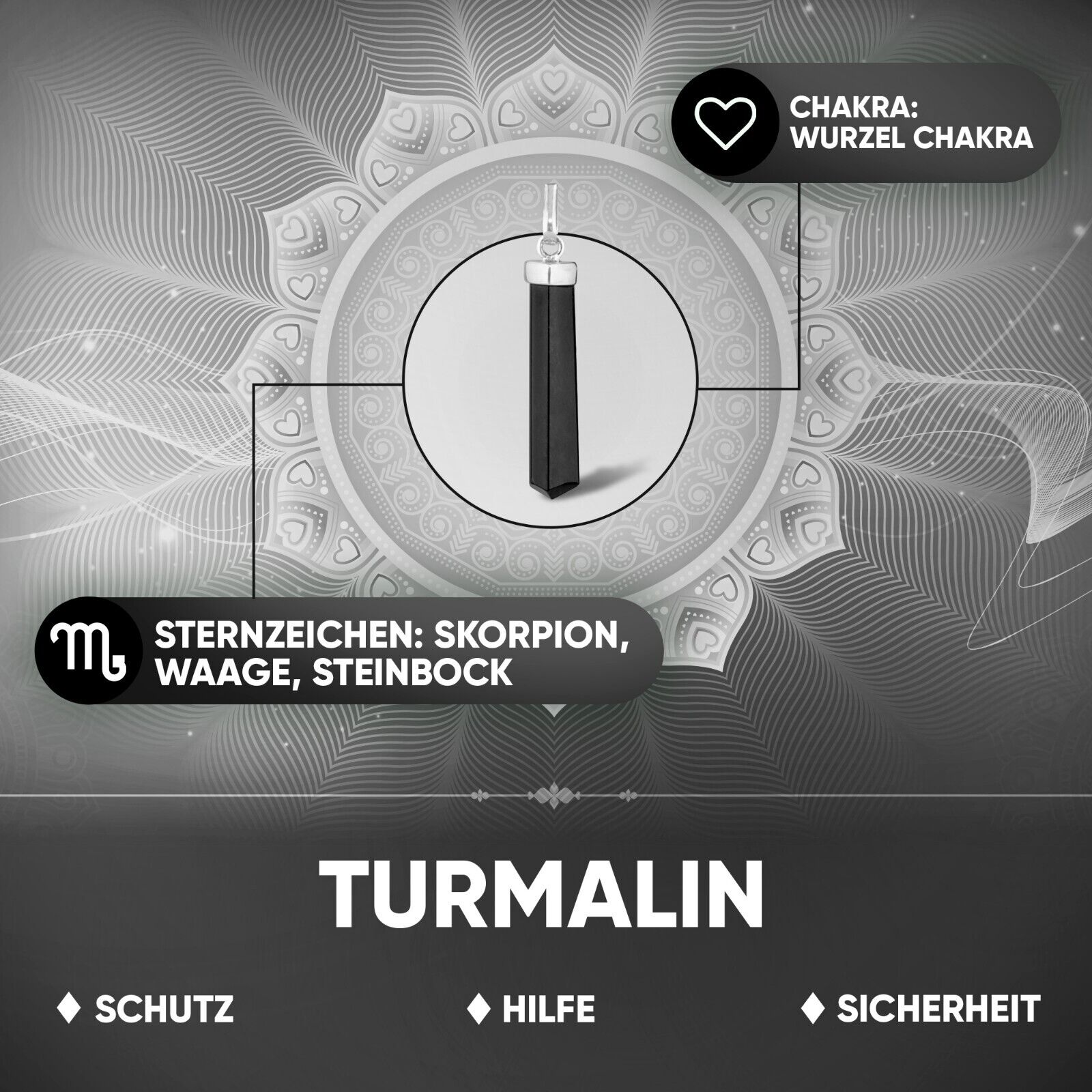 Bild 9 von 9