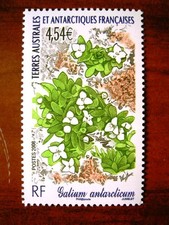 TAAF Yvert Num 500 Flore ANNEE 2008