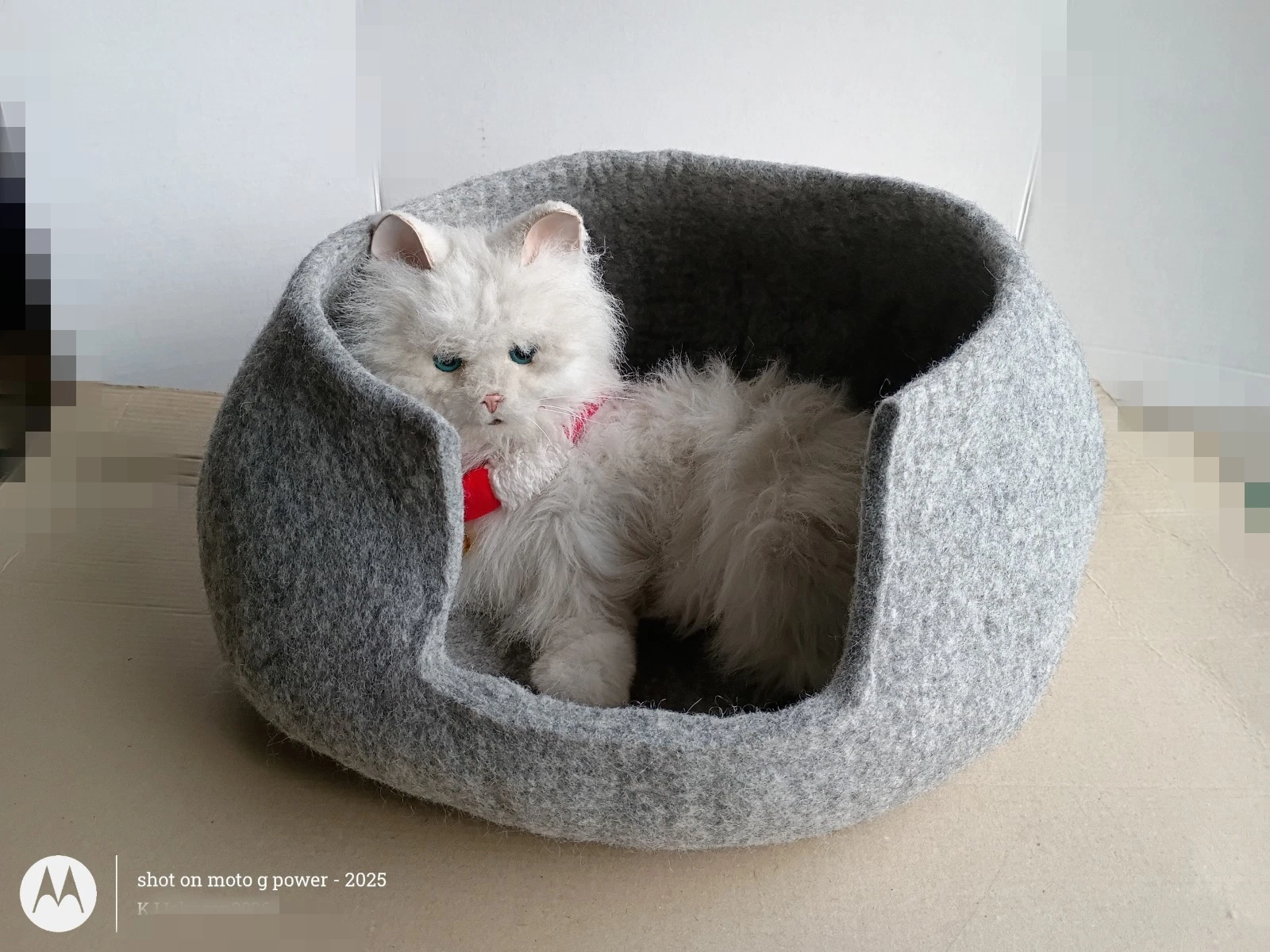 Wool Felt Round Pet Bed pod bed cat, dog
