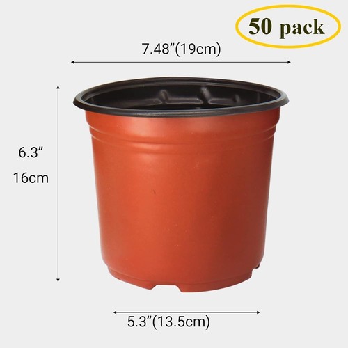 Economical 50 Pack of 1 Gallon Plastic Plant Pots - Perfect for Seed Starting - Picture 5 of 9