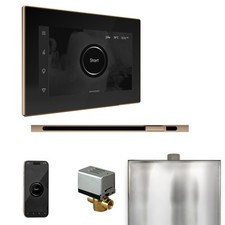 Mr Steam XButler Steam Pkg w/iSteamX Ctrl-Linear Steamhead-Blk Pol Gold