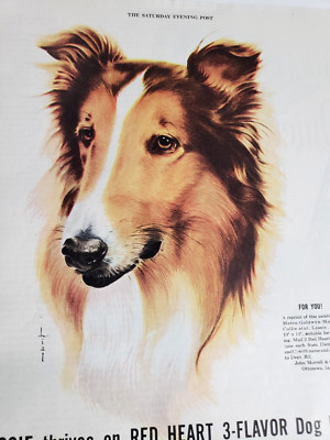 Lassie Collie Dog Food Vintage 1947 Ad Magazine Print Red Heart TV