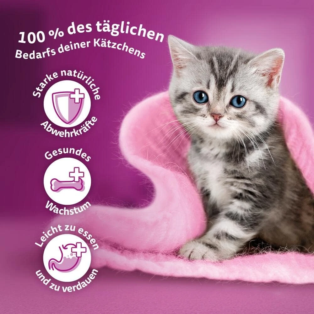 Bild 3 von 12