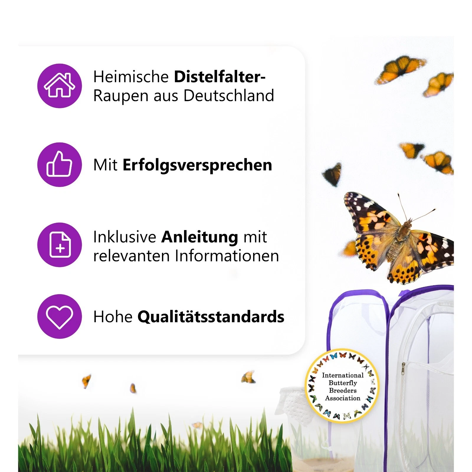 Bild 11 von 16