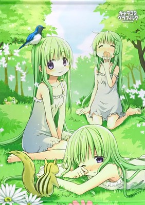 Aoki Ume Tapestry Illustration 37th Forest Protection Fundraising Character