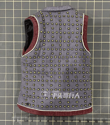 Soldier 1/6 scale KLG-R028B men's cotton armor,vest model,Thistle state guard - Picture 2 of 2
