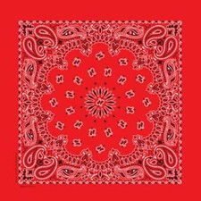Carolina Creative Bandanna Classic Red Paisley Print 22" x 22" Hav-A-Hank