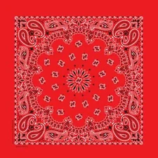 Carolina Creative Bandanna (Classic Red) Paisley Print 22" x 22" Hav-A-Hank