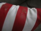 CHARLIE KIRK AUTOGRAPHED UNITED STATES FLAG PILLOW — photo 4