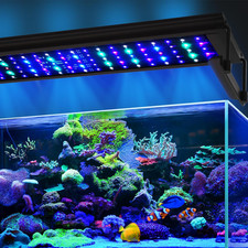 72W LED Saltwater Aquarium Light, Marine Led for Coral with White, Blue, Cyan, U