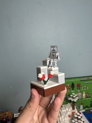 LEGO Minecraft stray with biome