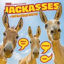 BrownTrout,  Jackasses 2026 Wall Calendar, 12'' X 12'', 16-Month Calendar with S