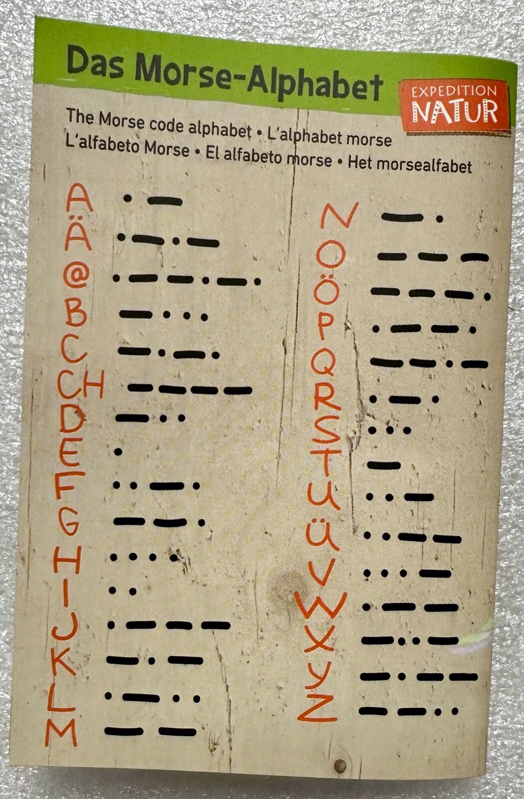Bild 7 von 15