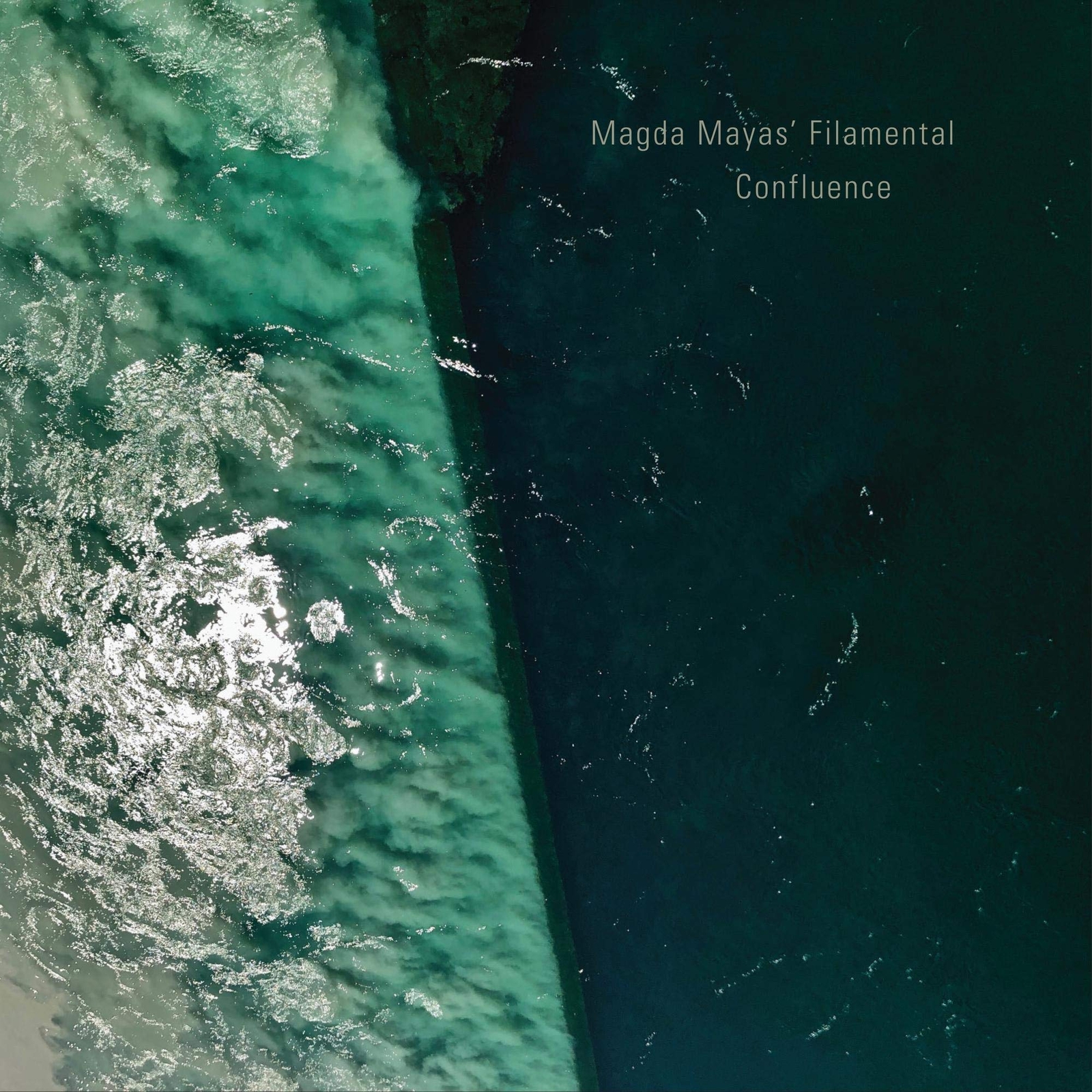 Magda Mayas' Filamental Confluence (CD)