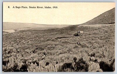 Postcard Oregon Trail A Difficult Drive Snake River, Idaho