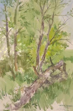 Michael Cadman RI ARCA (1920-2012) - Signed 1992 Watercolour, Woodland Trees