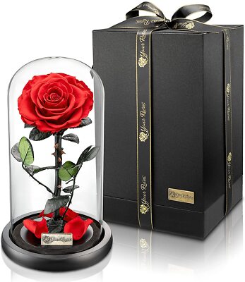 Konservierte Rose im Glas - romantisches Geschenk in verschiedenen Farben