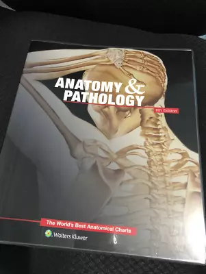 Anatomy And Pathology The World S Best Anatomical Charts