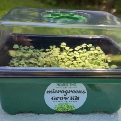 Microgreens Grow Kit - Indoor