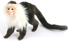 HANSA Capuchin monkey No.5851 20cm BH5851 from Japan New