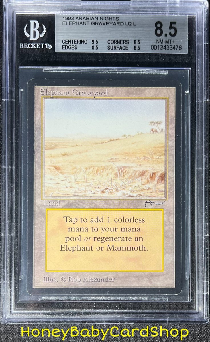 MTG Elephant Graveyard 【公式通販】