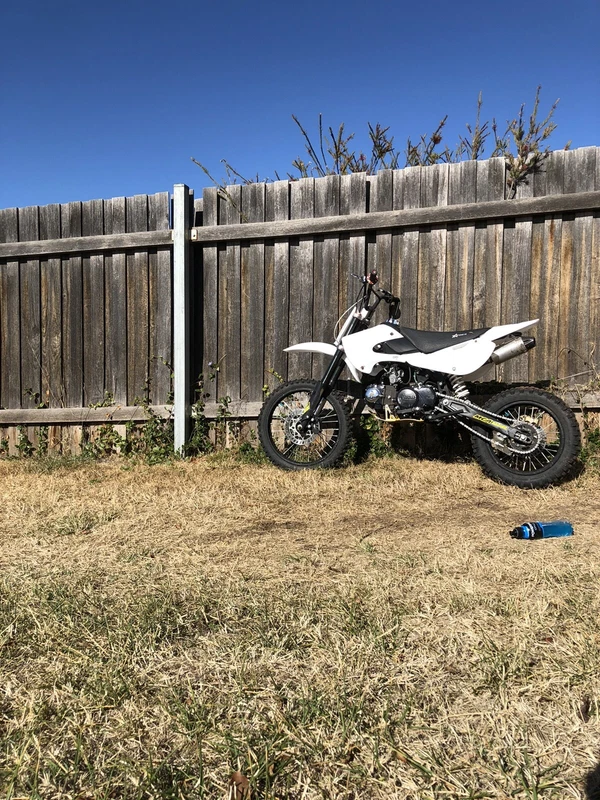 gumtree 125cc road bikes