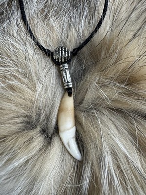COLMILLO DE COYOTE Amuleto Talisman para Eliminar obstaculos y romper brujeria