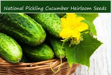 Vegetable Seeds - National Pickling Cucumber- 20 Heirloom seeds