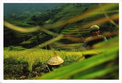 CPM International Fund for Agricultural Development IFAD INDIA (1182042)