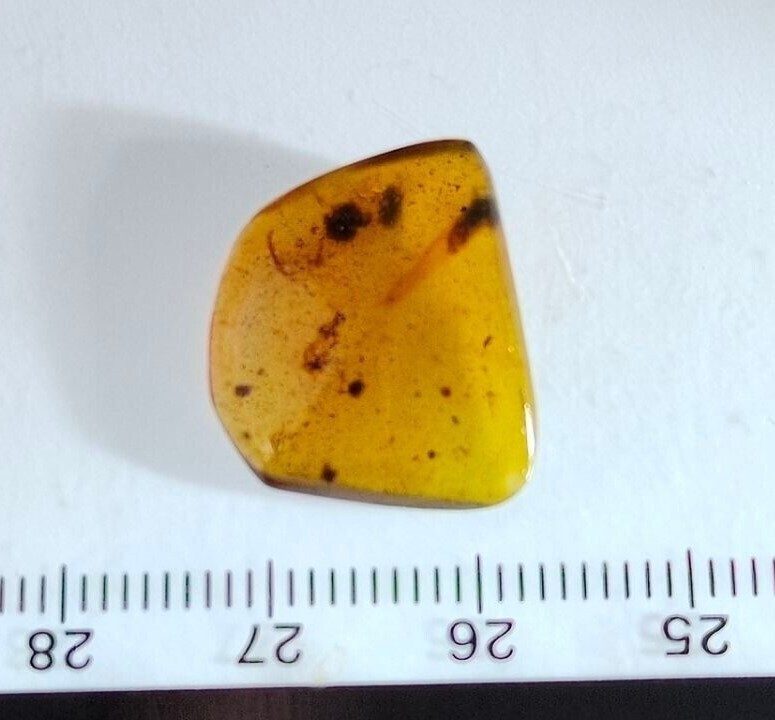 Picture 4 of 4