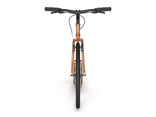 Scooter deportivo scooter para perros scooter de viaje Cityscooter Yedoo S2620 - Imagen 36 de 42