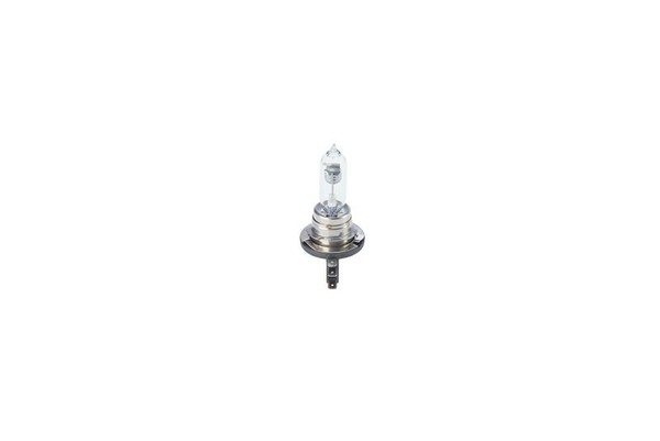 Bosch 1 987 301 099 Kfz-GlüHlampe FüR Abarth Alfa Romeo Audi BMW-image