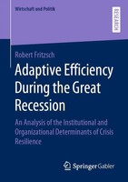 Robert Fritzsch | Adaptive Efficiency During The Great Recession | Taschenbuch