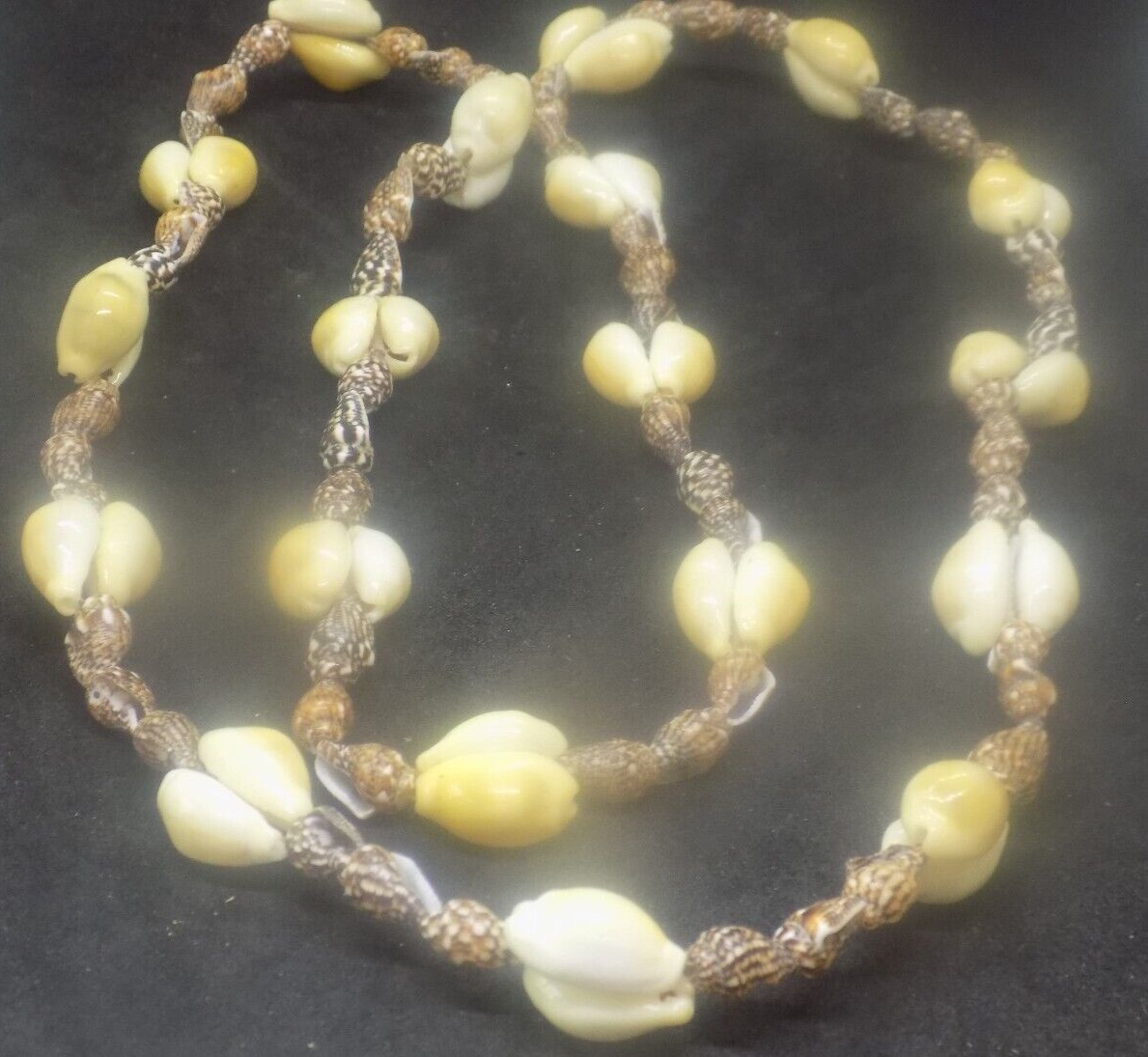 34 inch  long continuous strand shell necklace (3… - image 1
