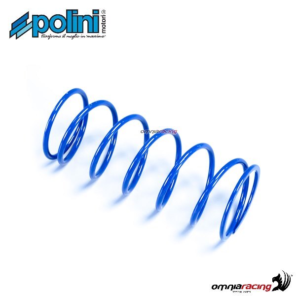 Polini contrast spring for SYM JET4/5 125