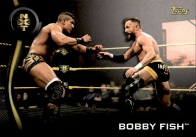 Bobby Fish 2019 Topps WWE NXT Roster Card #6
