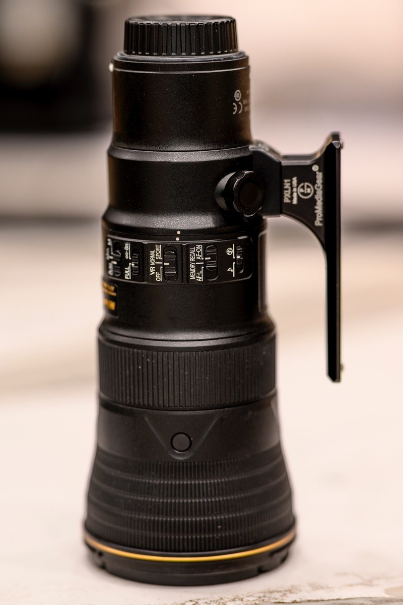 Nikon D850 500 F5 Pf Nikon Bird Photography 2025