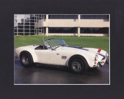 8X10'' Matted Print Muscle Car Picture: 1965 Ford AC Cobra 289