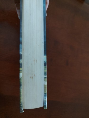 The Prince of Tides: A Novel by Pat Conroy (1986) HCDJ 1st edition Dust Jacket - Picture 9 of 11