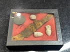 Antique Original Civil War Button Musket Parts Lot Display
