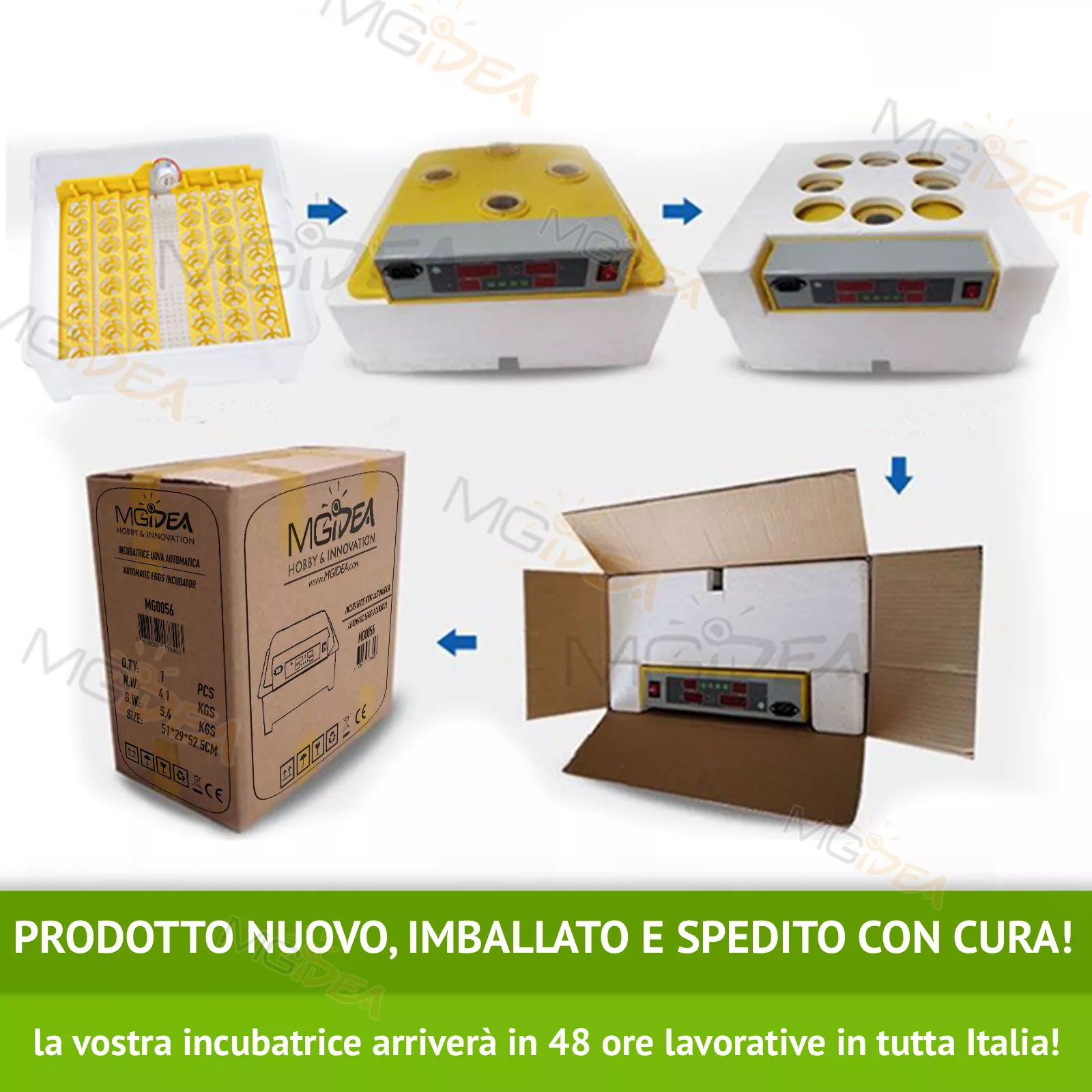 Foto 12 di 12