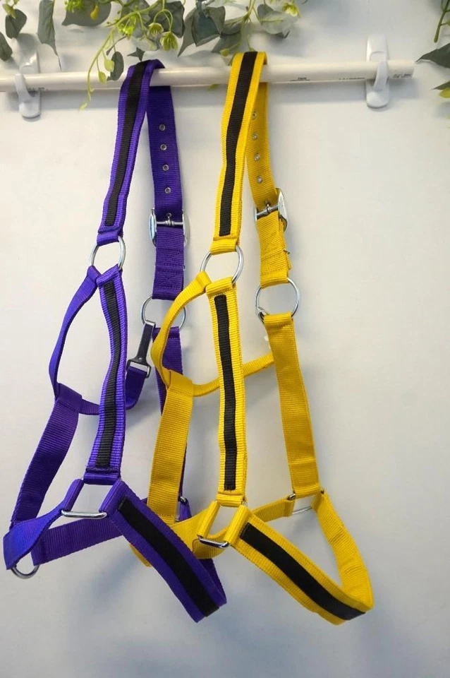 EQUITEM Popular Black Striped DRAFT XL Horse- Mustard Yellow Or Purple- Nylon Halters